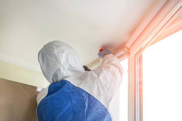 Roanoke, IN Mold Removal Services Company